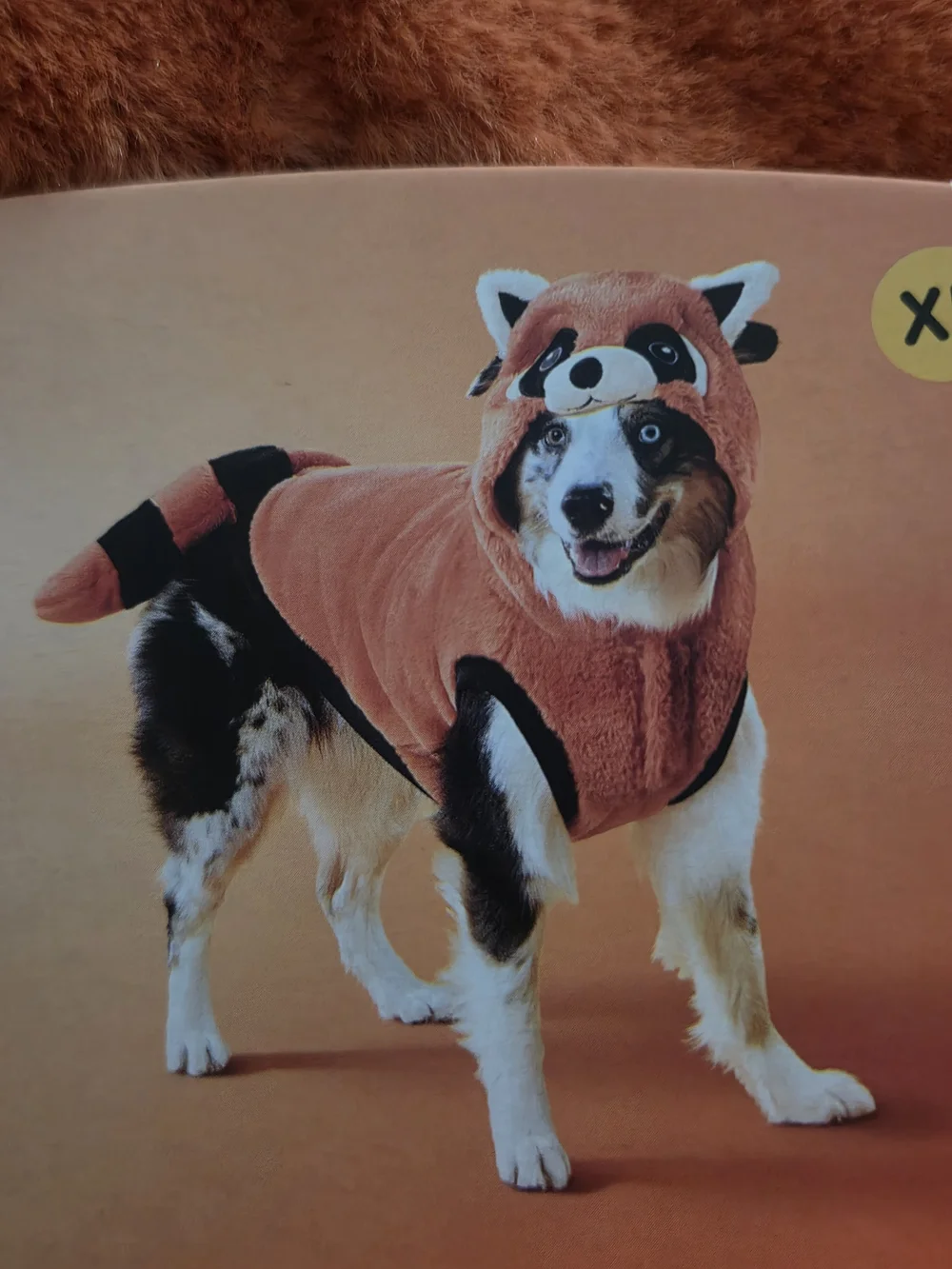 Boots & Barkley Plush Orange Fox Dog Costume with Black Accents